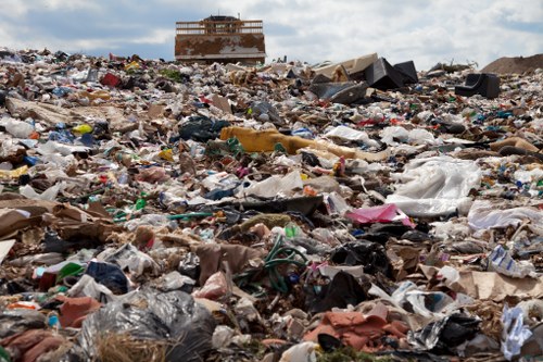 Business waste management with skips