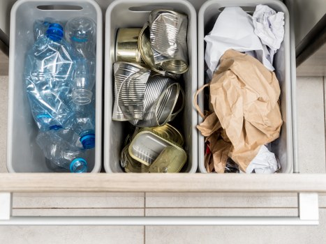 Environmental-friendly skip disposal practices in Deptford